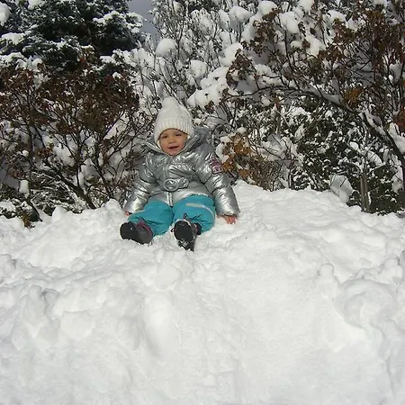 Konukevi Firn Sepp Mauterndorf (Salzburg)