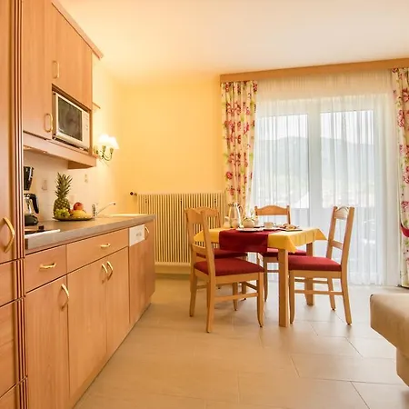 Pensjonat Firn Sepp 3*