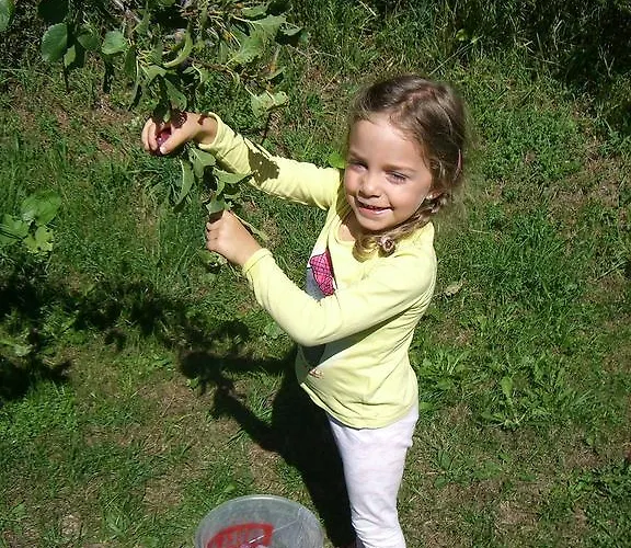 Pensionat Firn Sepp 3*