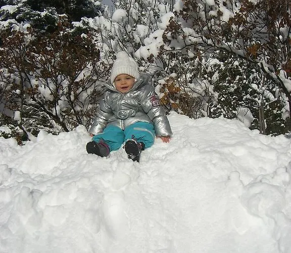 Pensionat Firn Sepp Mauterndorf (Salzburg)